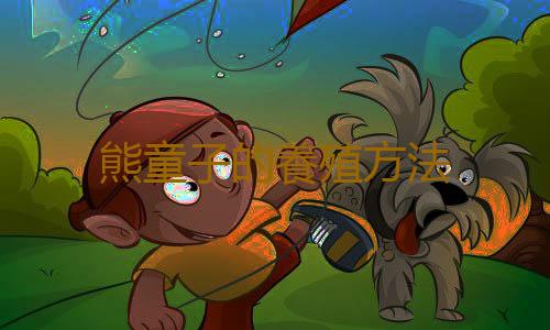 熊童子的養殖方法