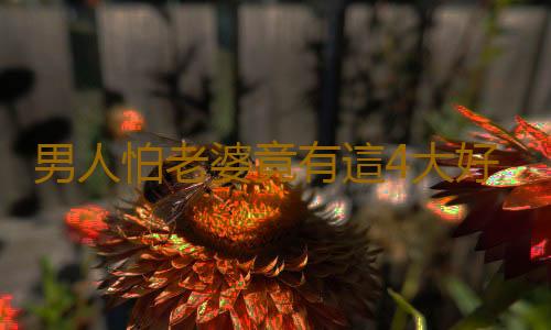 男人怕老婆竟有這4大好處