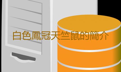 白色鳳冠天竺鼠的簡介