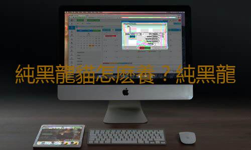 純黑龍貓怎麽養？純黑龍貓的常見疾病