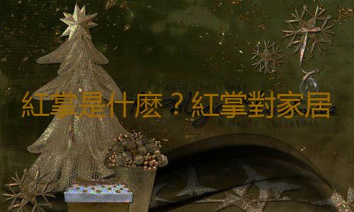 紅掌是什麽？紅掌對家居環境的影響