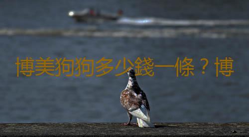 博美狗狗多少錢一條？博美犬怎麽訓練？