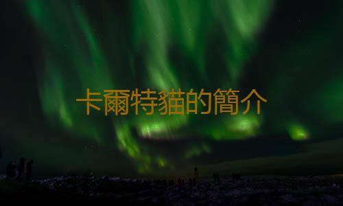 卡爾特貓的簡介