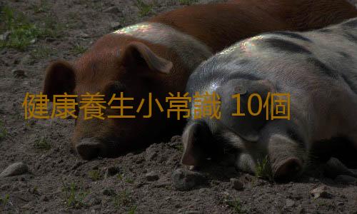 健康養生小常識 10個絕佳養生時間