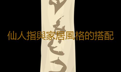 仙人指與家居風格的搭配