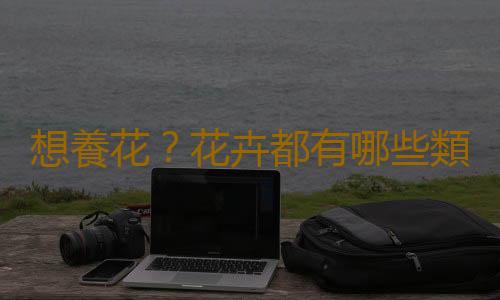 想養花？花卉都有哪些類型？