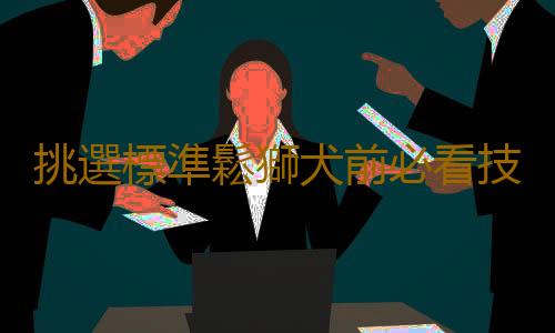 挑選標準鬆獅犬前必看技巧