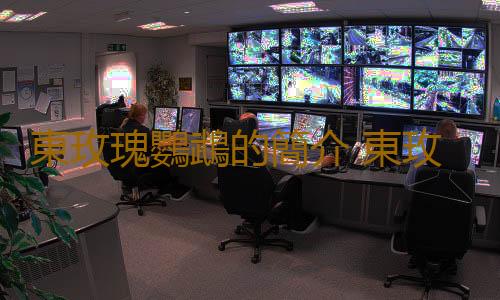 東玫瑰鸚鵡的簡介 東玫瑰鸚鵡的產地