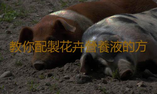 教你配製花卉營養液的方法