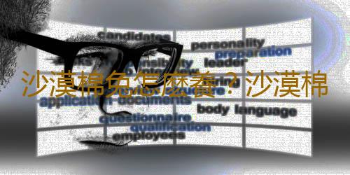 沙漠棉兔怎麽養？沙漠棉兔吃什麽？