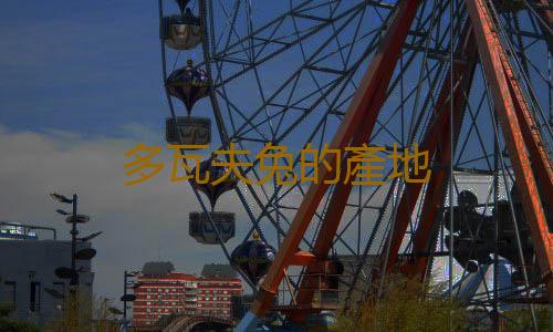 多瓦夫兔的產地