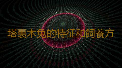 塔裏木兔的特征和飼養方法