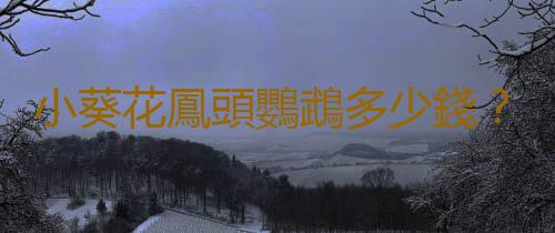 小葵花鳳頭鸚鵡多少錢？小葵花鳳頭鸚鵡的壽命