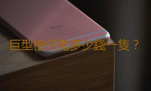 巨型格仔兔多少錢一隻？