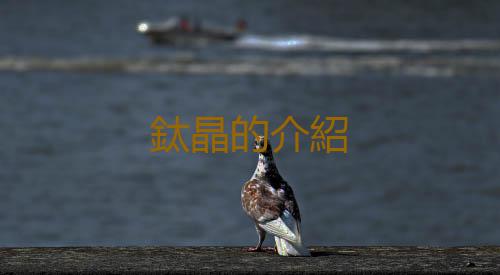 鈦晶的介紹