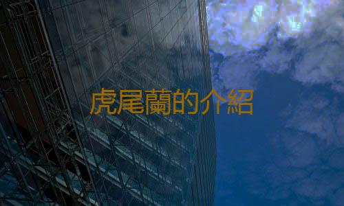 虎尾蘭的介紹