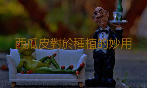 西瓜皮對於種植的妙用