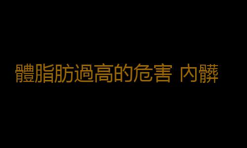 體脂肪過高的危害 內髒脂肪的自我檢測方法