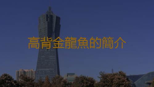 高背金龍魚的簡介