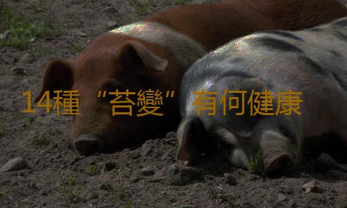 14種“苔變”有何健康暗示